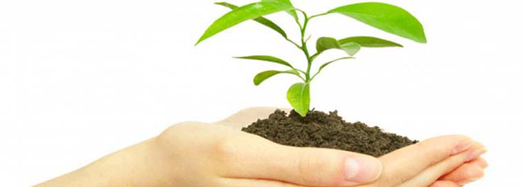 Environmental Testing